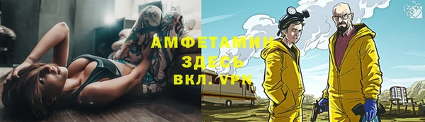 ПСИЛОЦИБИНОВЫЕ ГРИБЫ Верея