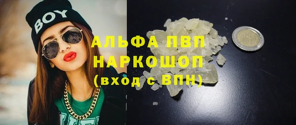 ПСИЛОЦИБИНОВЫЕ ГРИБЫ Верея