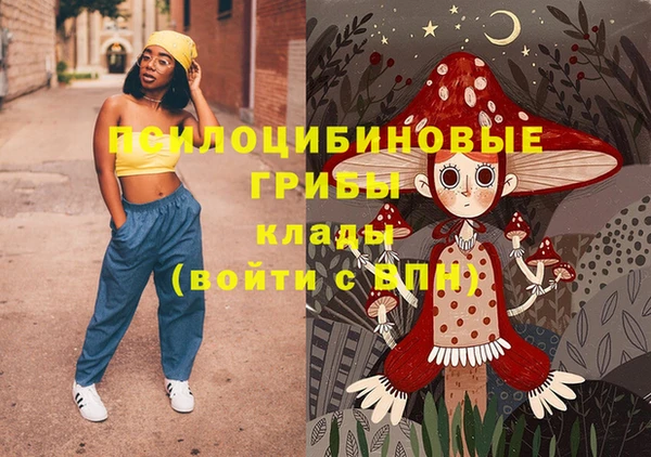 индика Верхний Тагил