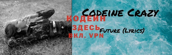 ПСИЛОЦИБИНОВЫЕ ГРИБЫ Верея