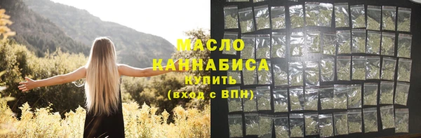 индика Верхний Тагил