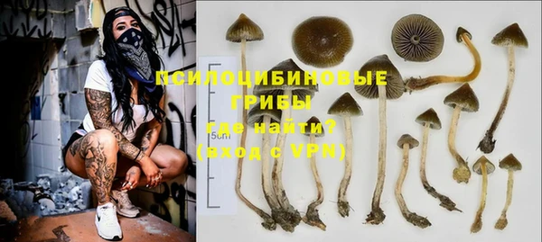 ПСИЛОЦИБИНОВЫЕ ГРИБЫ Верея