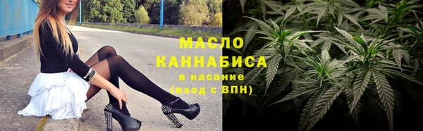 индика Верхний Тагил