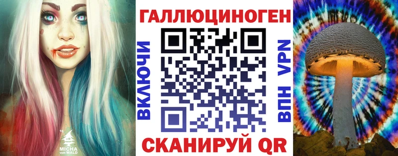 Псилоцибиновые грибы MAGIC MUSHROOMS  Купить  Новая Ладога 