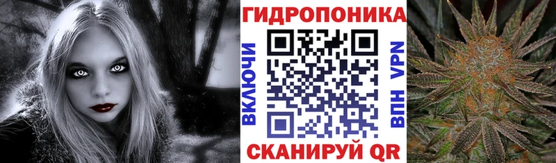 Купить  Новая Ладога  Бошки Шишки ГИДРОПОН 